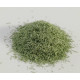 Luffa PhytPeell 500 Green